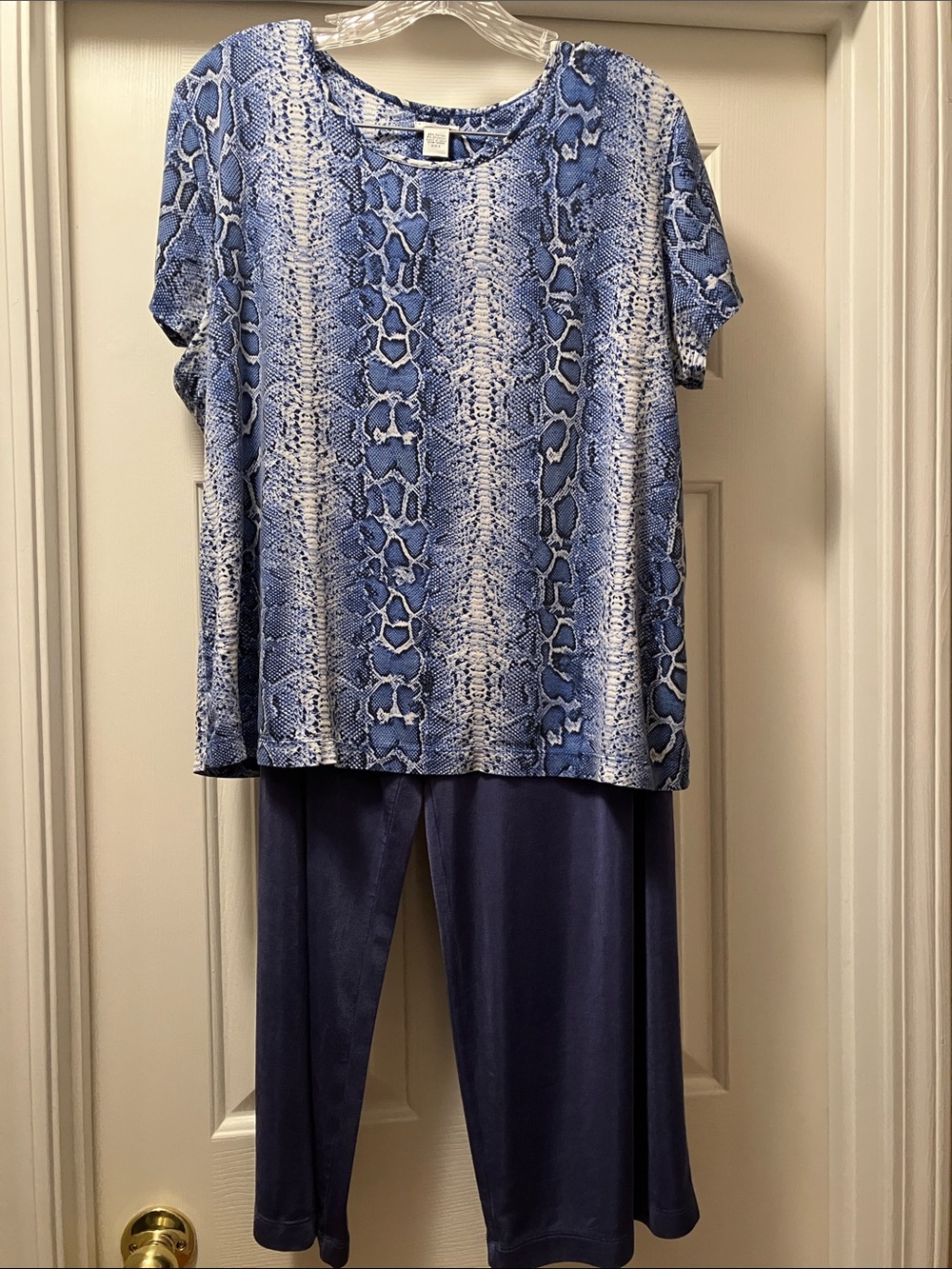 Chico's Blue Snake-Print Top with Solid pull on Pants